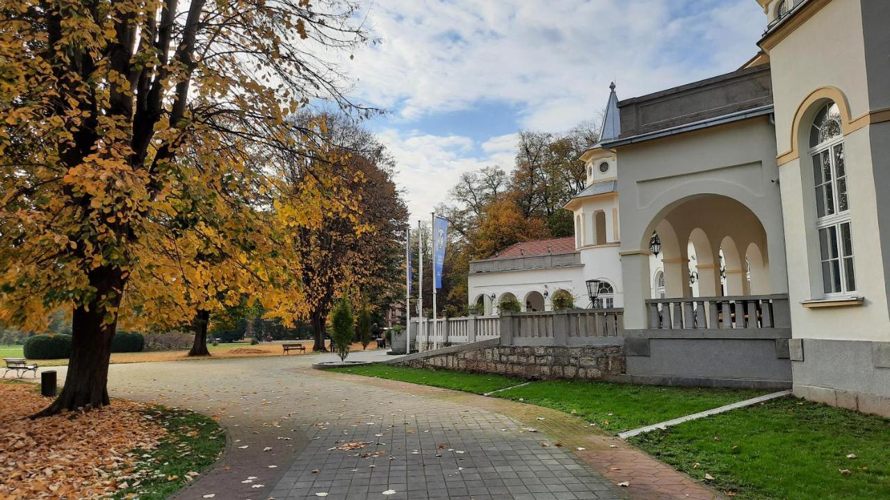 Apartman Mila, Banja Koviljača Εξωτερικό φωτογραφία