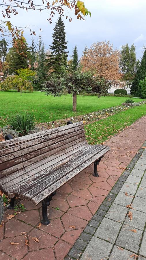 Apartman Mila, Banja Koviljača Εξωτερικό φωτογραφία